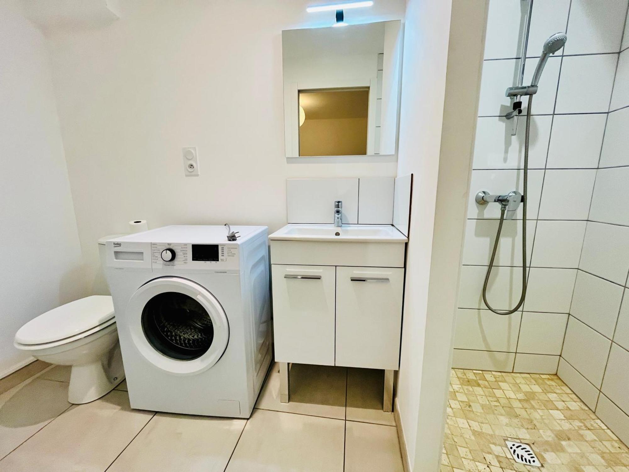 2 Suites, Cour Privee, Climatisation, Le Nid De Blois Vienne 外观 照片